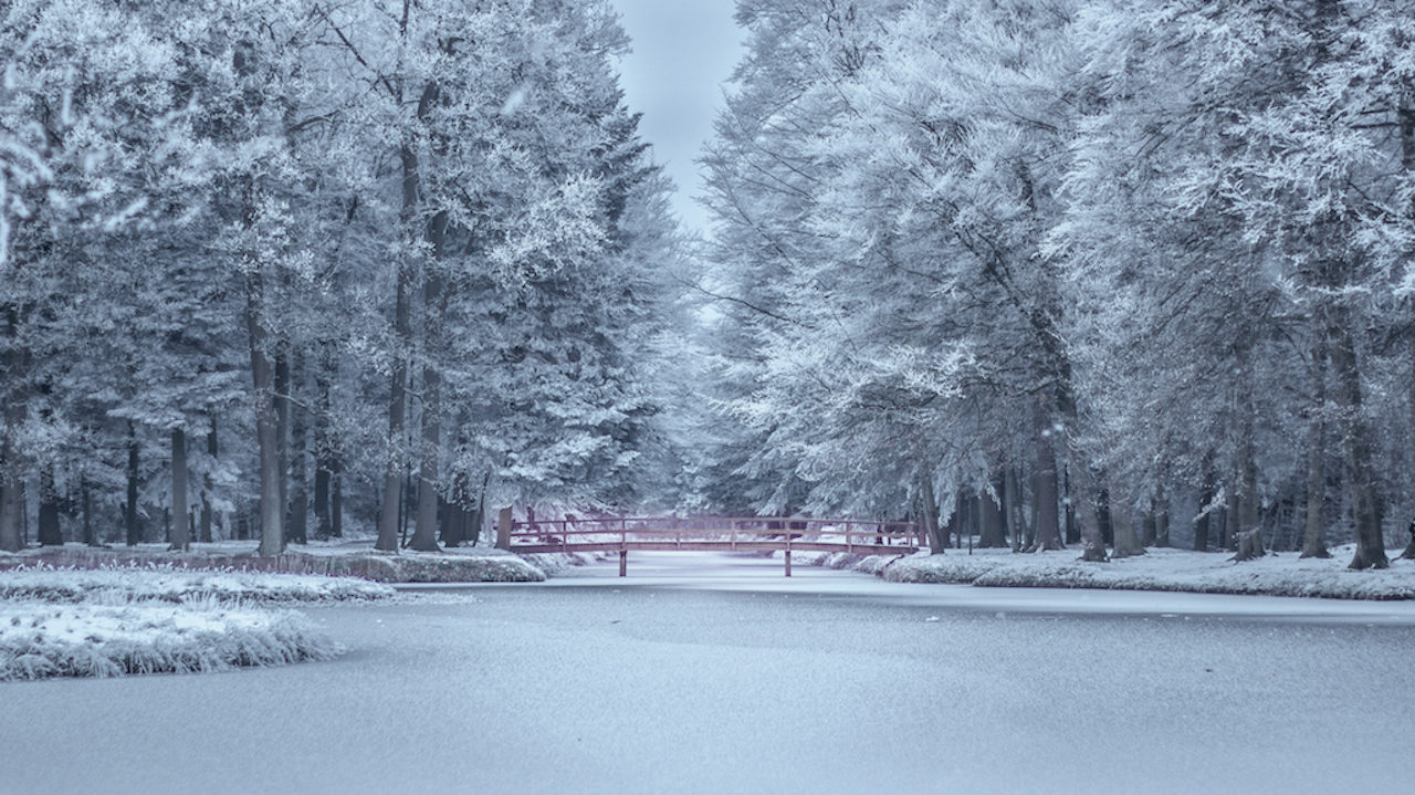 winter foods